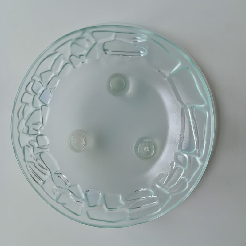 Trophées en verre de l'atelier Flora Verre et Verre à Lier Trophées en verre de l'atelier Flora Verre et Verre à Lier